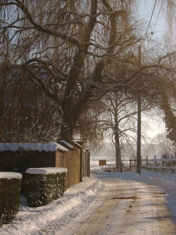 B&B De Pepelinck Denderwindeke エクステリア 写真